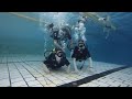 Уроки дайвинга: учимся правильно погружаться под воду
