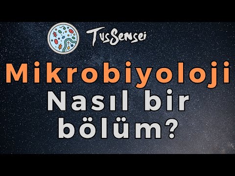 Mikrobiyoloji ne iş yapar? Kim yazsın? Kim yazmasın?