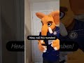 From #Dogman and another #MillennialFurryProblem, enjoy. #Furry #furries #fursuit #elephant #bat
