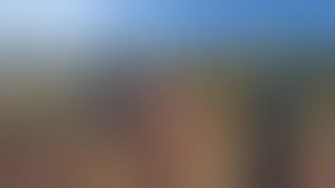 Harvesting cannabis in Oklahoma