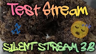 Bud_Chronicles_420  Final Test Stream 3/3