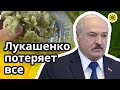 🇧🇾 Лукашенко потеряет все ⚰ Будущего нет 🕯 Выливание на воск