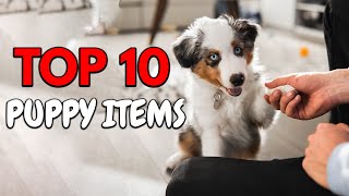 10 Things To Get Your New Puppy