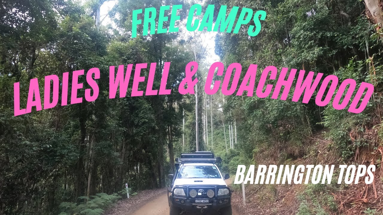 Exploring Ladies Well and Coachwood Campground Serene Nature Retreats