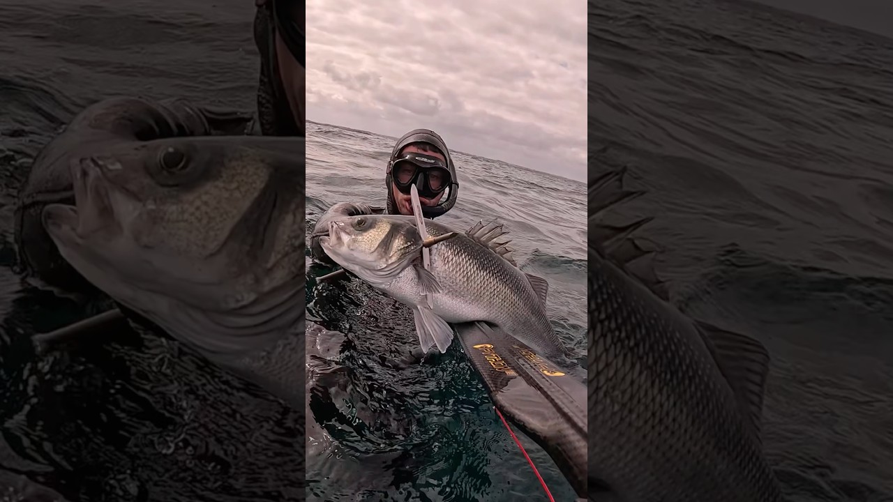 Bars du Finistère 🎯 