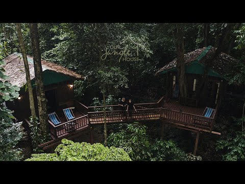 นอนบ้านต้นไม้ - Our Jungle House - เขาสก สุราษฏร์ธานี [ Khaosok Suratthani Thailand ]