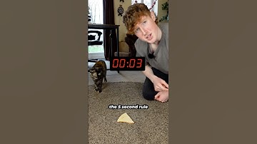 Is The 5 Second Rule Actually Real?