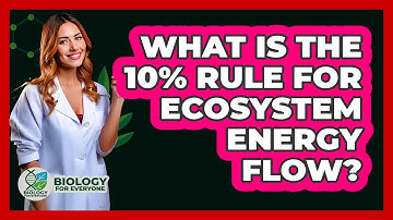 What Is The 10% Rule For Ecosystem Energy Flow? - Biology For Everyone