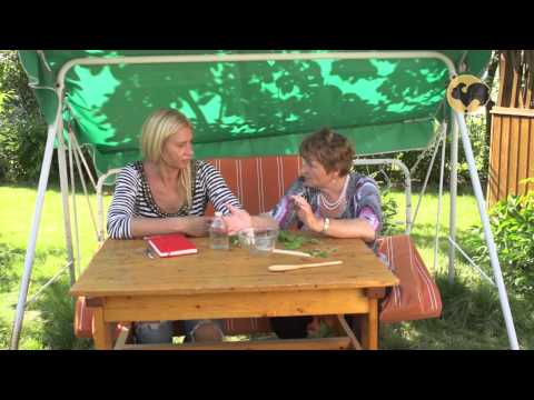 Дачная Академия 2014.