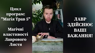 Цикл Магія Трав 5. Магічні властивості ЛАВРОВОГО ЛИСТЯ. ЛАВР ЗДІЙСНЮЄ ВАШІ БАЖАННЯ!