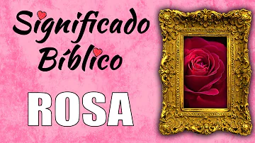 ¿Cuál es el significado de 3 rosa rosa?