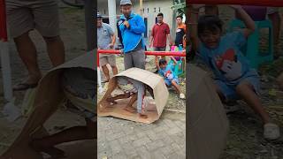 Download Lagu Lomba Balap Kardus 😅#agustusan MP3 Download Lagu Lomba Balap Kardus 😅#agustusan MP3