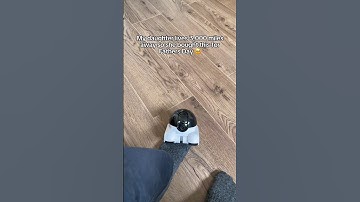 I love this little robot 🥺💕 #robot #family #fathersday #camera