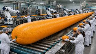 How Orange Juice Is Made in Factory | Full Process from Fresh Oranges to Bottles (Satisfying)