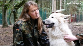 Unter Wölfen: Alltag im Wolfcenter Dörverden