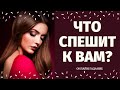 ЧТО СПЕШИТ В ВАШУ ЖИЗНЬ? КАКИЕ ПЕРЕМЕНЫ НА ПОРОГЕ? КАК ИЗМЕНИТСЯ МОЯ ЖИЗНЬ? расклад на судьбу