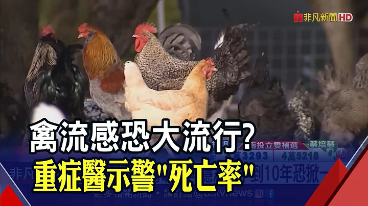 禽流感恐大流行？累計21國通報457人染H5N1死亡...重症醫警告:死亡率達53%｜非凡財經新聞｜20230304 - 天天要聞