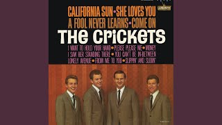 Lonely Avenue - The Crickets