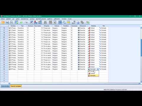 Vídeo: Què és la mesura en SPSS?