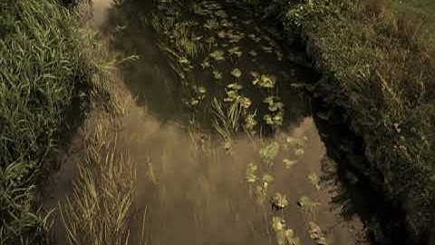 فيصل الرشود (سورة الأحزاب ٧٣-٥٣).