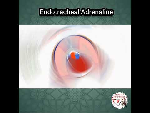 ENDOTRACHEAL ADRENALINE (EPINEPHRINE)