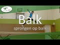 Aanleren sprongen op balk  gymslim  recreatie  selectie