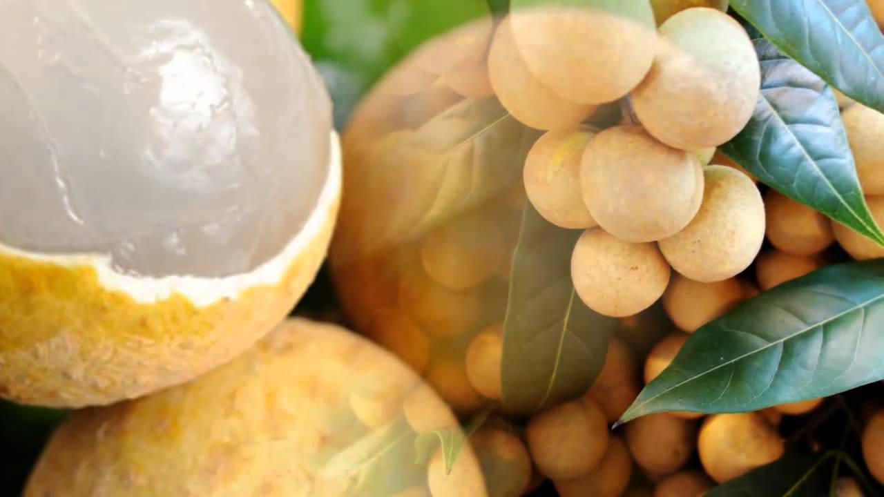 25 weird and exotic fruits from asia youve probably never heard of