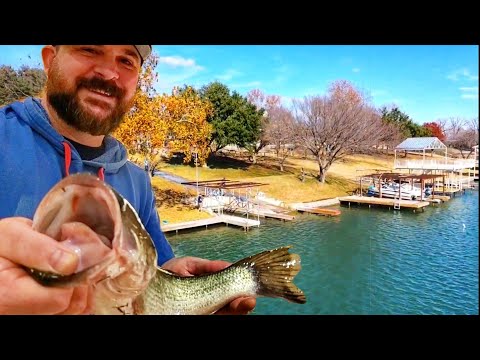 Wideo: Jak znaleźć polne kwiaty w Texas Hill Country