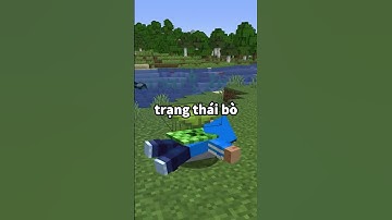 Sự Khác Biệt Về LÁ NHỎ GIỌT Giữa Minecraft Java Và Bedrock #minecraft #shorts