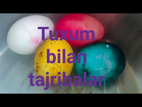 Video: Tajribali o'rganish tsikli qanday bosqichlardan iborat?