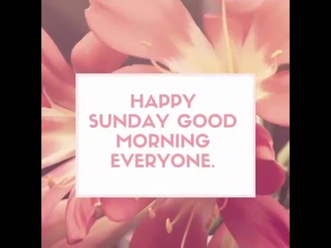 Happy Sunday quotes | Sunday Images - YouTube