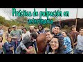 24 horas de un estudiante de veterinaria | Práctica de palpación en Yeguas