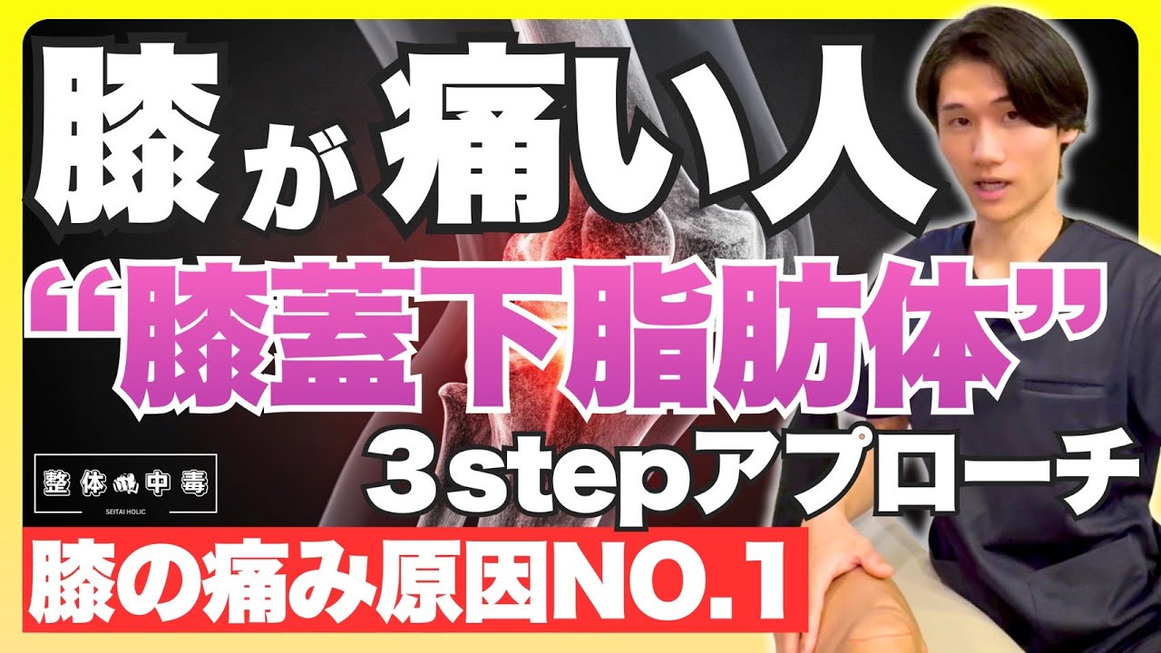 【膝痛】膝痛施術で劇的変化を求める先生へ！膝蓋下脂肪体をどう診るか？評価からアプローチまでの全てを解説！膝蓋下脂肪体へのアプローチはこの動画で完結！#整体　#整体師　#整骨院　 #膝痛
