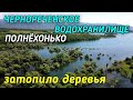 Крым.ЧЕРНОРЕЧЕНСКОЕ водохранилище ПОЛНОЕ на 100% Затопленные деревья вокруг.БАЙДАРСКАЯ долина