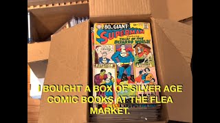 I Bought at Box of Silver Age Comic Books at the Flea Market