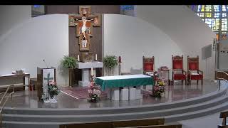 Thirteenth Sunday in Ordinary Time