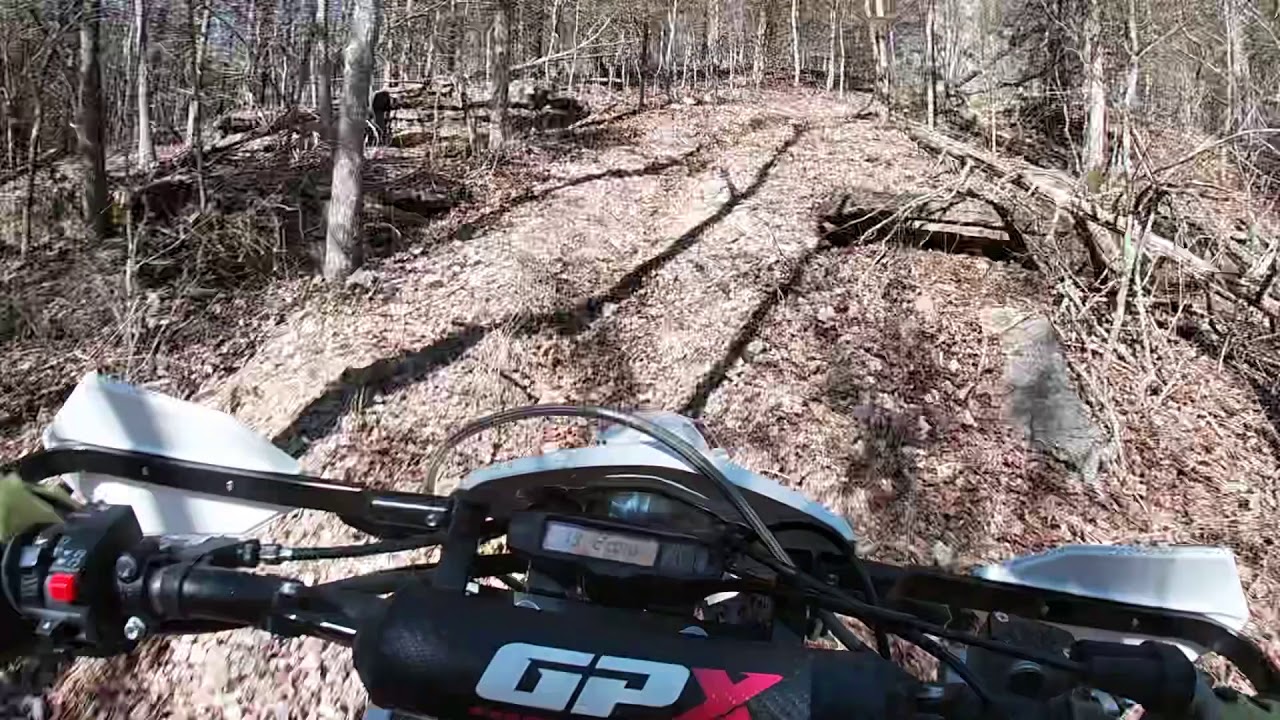 Reed spring 23 YouTube