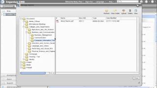 Deleting Files