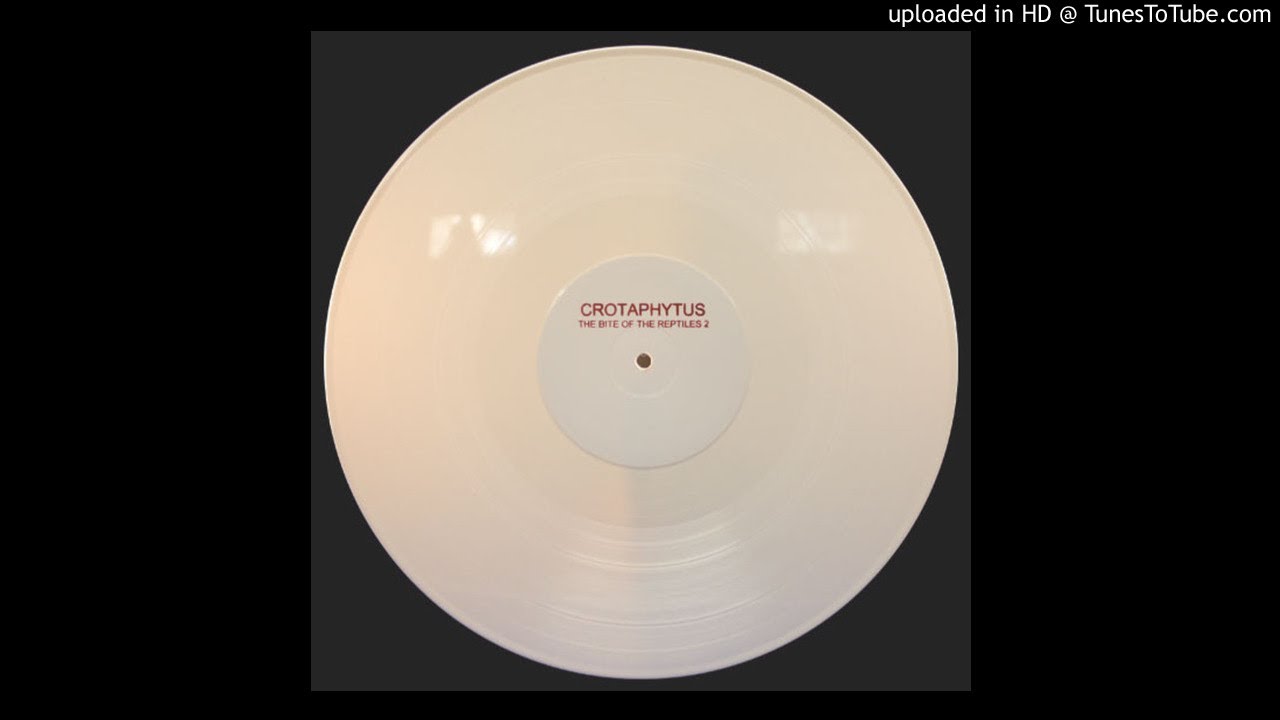 Crotaphytus - Hydromantes Platycephalus