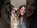A Dog's Healing Smile.#dogsofyoutube  #funnyvideos #funnydog #usa🇺🇸 #dog