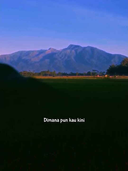 Story wa terbaru//suasana sawah di pagi hari