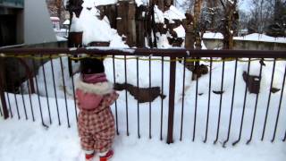 20120110 003.MOV