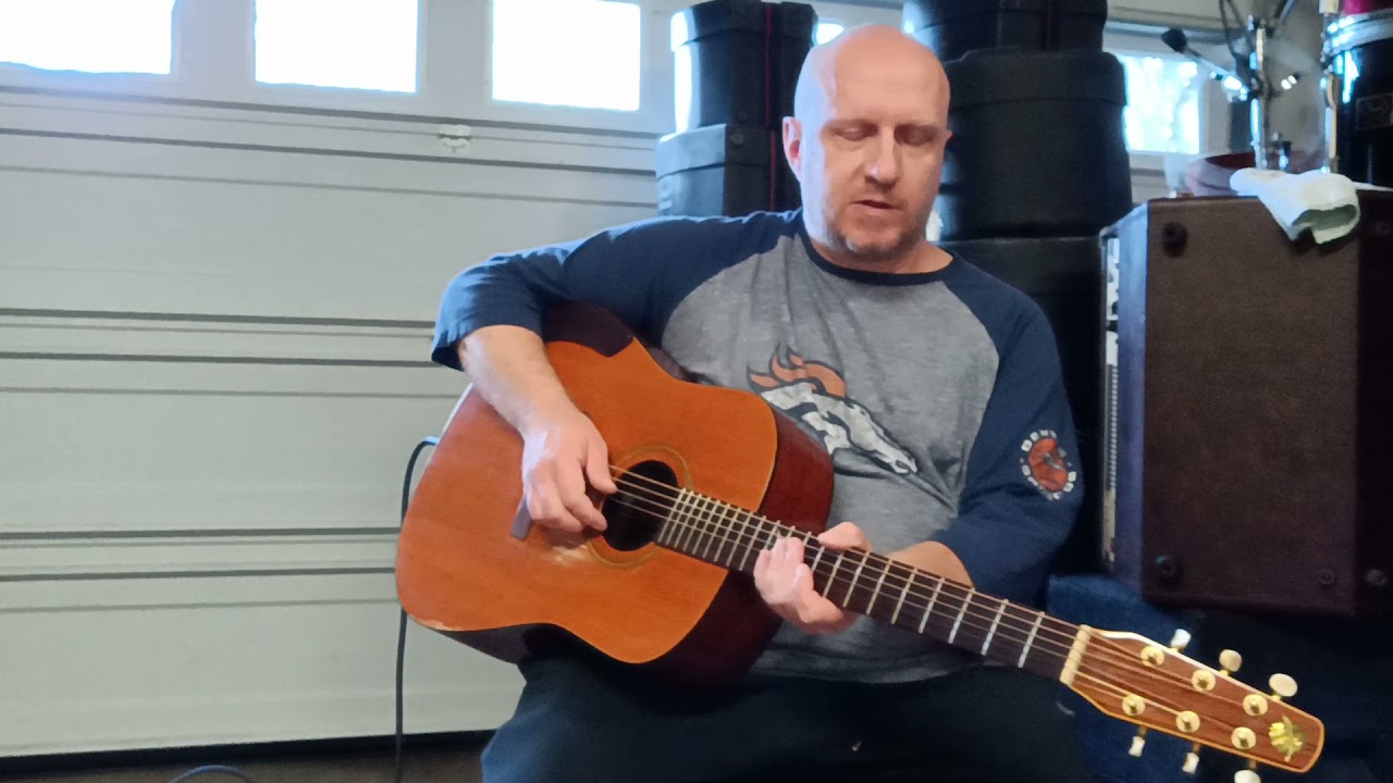 Seagull SM6 Spruce acoustic electric guitar demo - YouTube