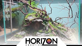 60cm (100 litres) Aquascape start to finish build by Ady Myers ...