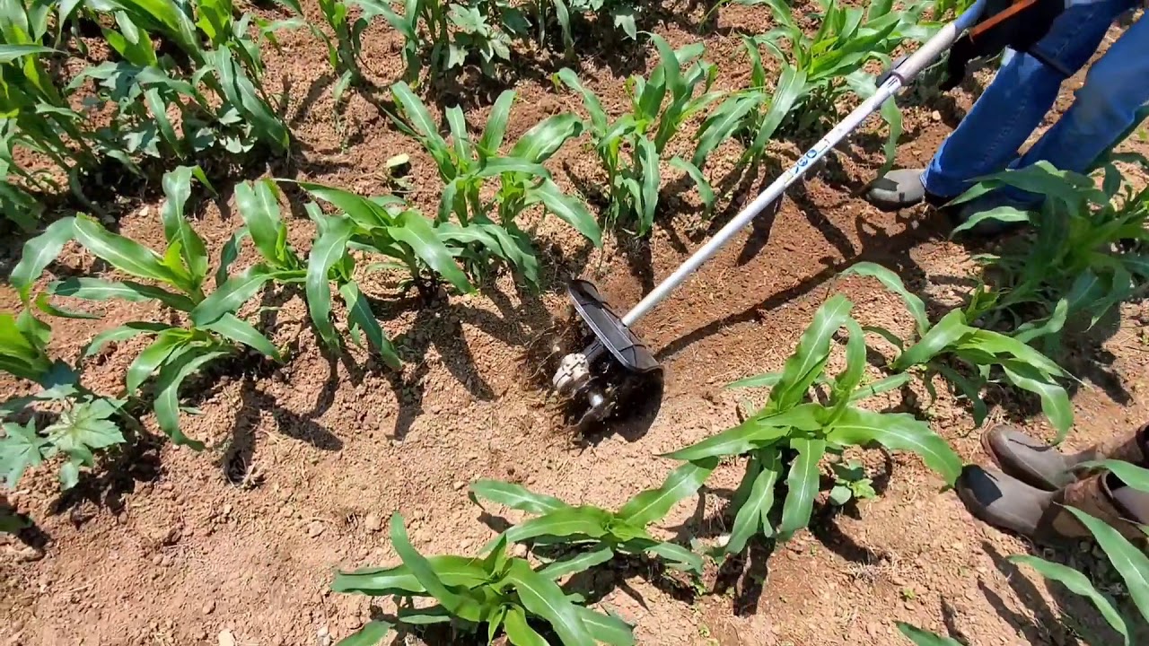 Stihl Kombi Cultivator