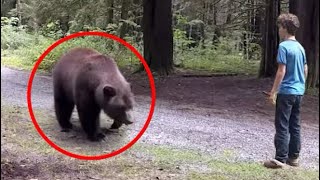 Scariest Bear Encounters Ever Caught on Camera
