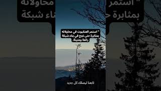 العصفور و العنكبوت قصة قصيره فيها حكمة للكبار و الاطفال و التحفيز علي الحياة بافضل حال تابعونا