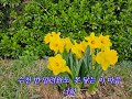 할미 할아비 바위