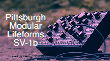 Introducing the Pittsburgh Modular SV-1b Modular Synthesizer