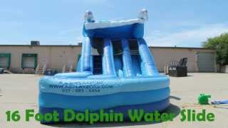 16 Foot Inflatable Dolphin Water Slide Wet Or Dry Slide Cincinnati Dayton Rental